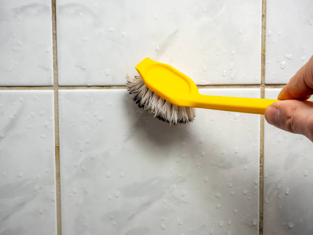 Best Black Mold Remediation in Roanoke, TX