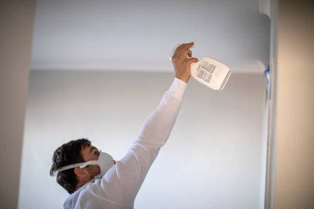 Best Mold Remediation for Schools in Roanoke, TX