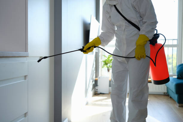 Best Health and Safety Mold Remediation in Roanoke, TX