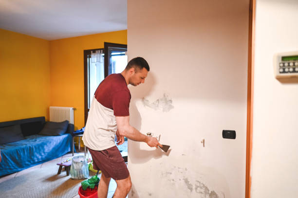 Best HVAC Mold Remediation in Roanoke, TX